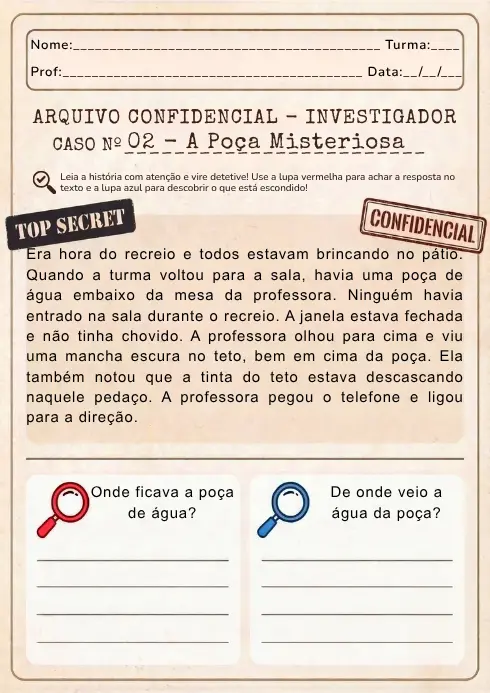 Caso Investigador (Nível 2) - amostra